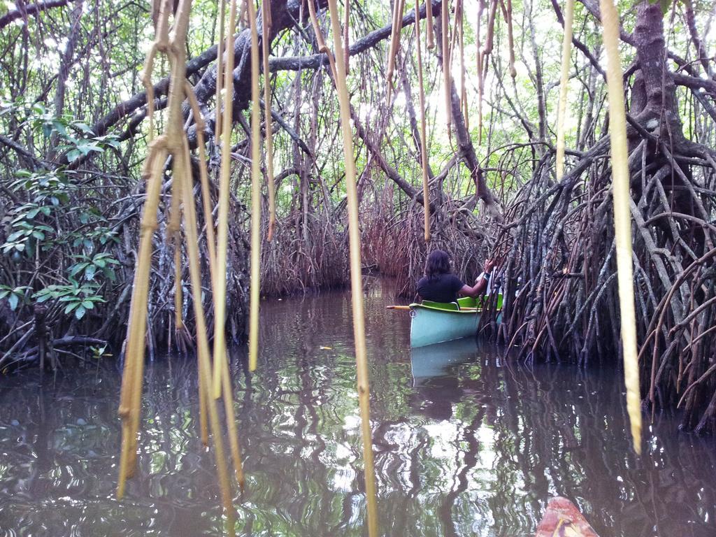 Villa Ali Unawatuna Εξωτερικό φωτογραφία